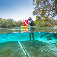 Best Springs To Snorkel In Florida Prices Reviews