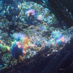 Melusine