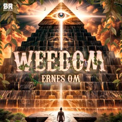 Ernes OM - Weedom (Radio Edit)