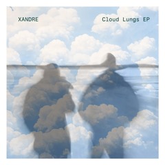 Cloud Lungs