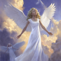 See The Angels