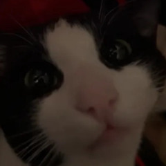 SCP_RolePlay_Track07_Remix