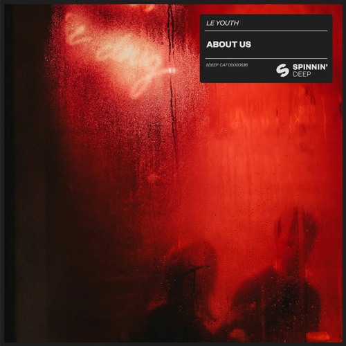 Le Youth feat. EMME - About Us (remix) [HQ]