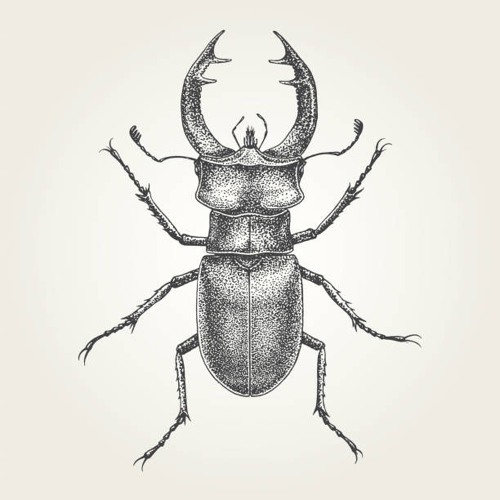 Armonía