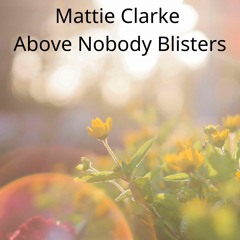 Above Nobody Blisters (3)