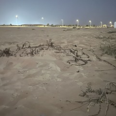 ودنا ب ارواحانا نفدي بعضنا / بندر بن عوير