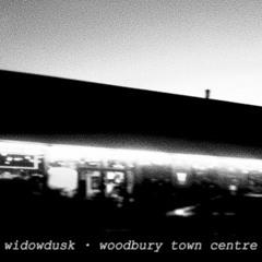 Woodbury Town Centre (slowed)