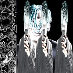 ECCO2K - guardianAngels((NATU))