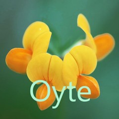 Oyte
