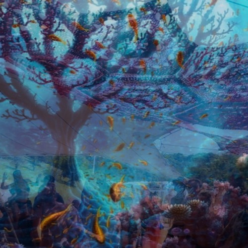 ((Ambyssed)) DJ Set @ OZORA Festival 2023