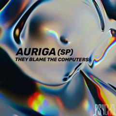 Premiere: Auriga (SP) - They Blame The Computers (Original Mix)