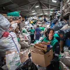 Waste Pickers and COVID-19: An Interview with WIEGO's Sonia Dias