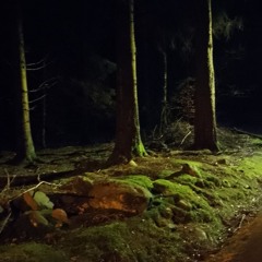 Well & Geomant  - Glycerine Invoked Landscapes  (alternate version)