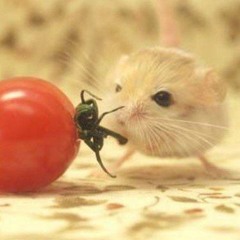 How To Make Pasta No Glue No Borax 144p Youtube 2013