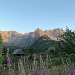 Beautiful Adventures
