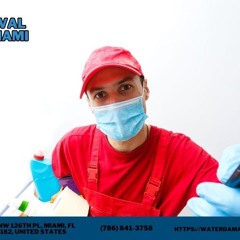 Mold Removal Company Miami