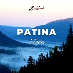 Toteles - Patina