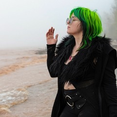 Kelsifer - Dark Hitech / Psycore DJ Set - Live on Lake Superior beach @ Wascally Wabbits Renegade