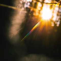 Brining The Sweetness Of Life