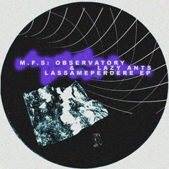 PREMIERE: M.F.S: Observatory & Lazy Ants - Time 128 (Original Mix) [Kneaded Pains]