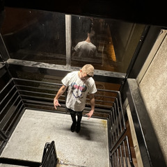 Llamas Getting Tamed