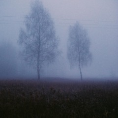 Dreaming