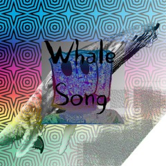 Whale Song