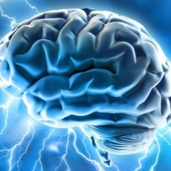 Use {Total Brain Boost} Memory Recall and Retrieval!!