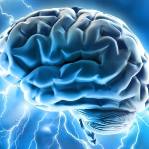 Use {Total Brain Boost} Memory Recall and Retrieval!!