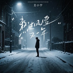 熬过风雪又一年 (DJ版伴奏)