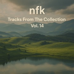 nFk - Tracks From The Collection Vol. 14