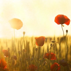 Return to the Garden