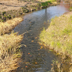 공터 (w. Vovo Weng)