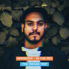THE INDIAN TRIP