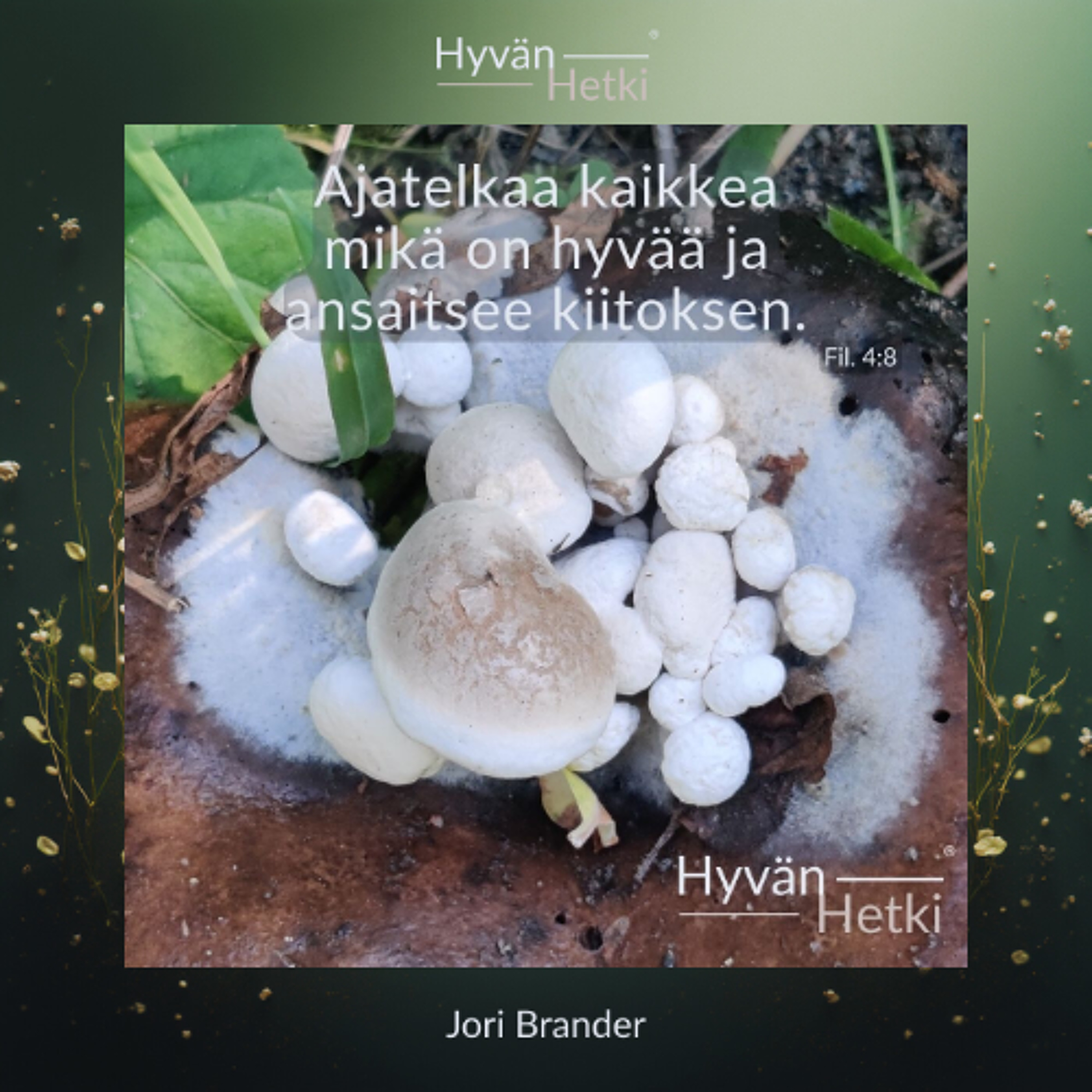 Ajatelkaa kaikkea... mikä on hyvää ja ansaitsee kiitoksen. (13.03.2026) episode artwork
