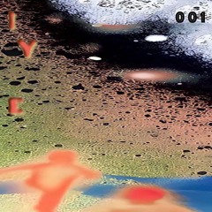 IYE001 - Wit Wiki & Wilko