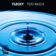 FLECKY - TOO MUCH