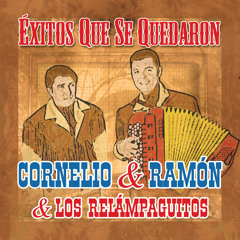 ME SACARON DEL TENAMPA