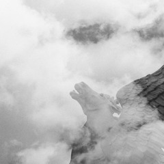 Are Those the Feet of the Horses?