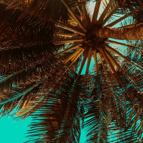 12:22-50 copyright free background music DOWNLOAD