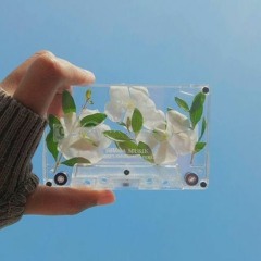 Black Tape - REPELLENT