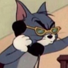 ELETROFUNK EU SEI QUE JOGA - FERREIRA DJ E MC MR BIM