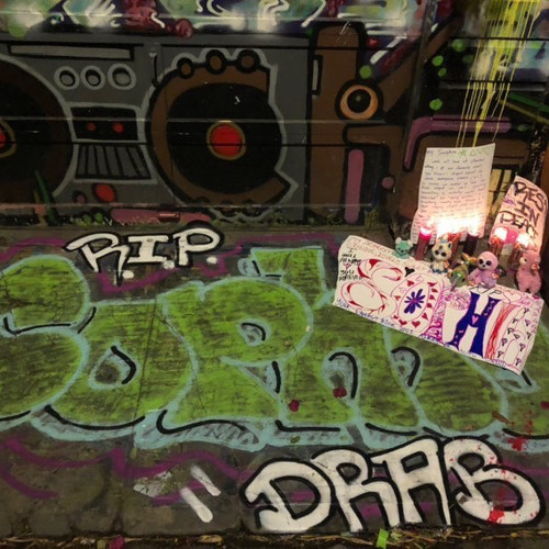 BabyBayShit - REST IN PARADIECE