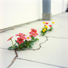 Nada sale como el plan, y está bien