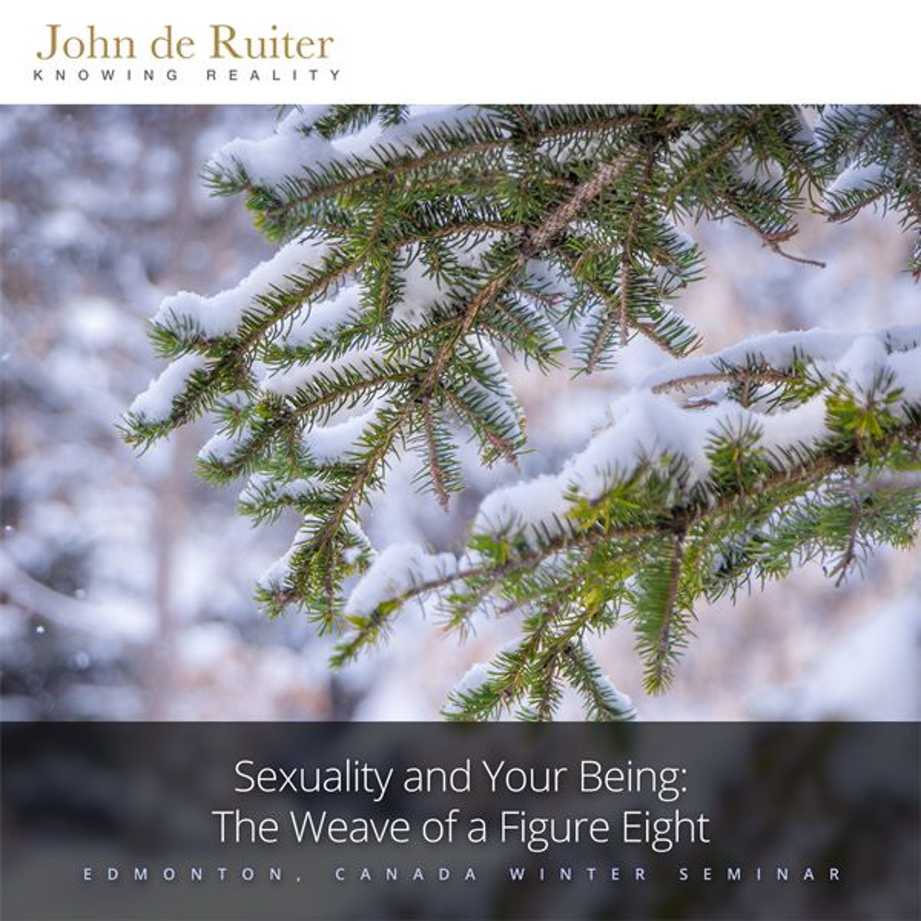 257 - Sexuality and Your Being: The Weave of a Figure Eight - 2 of 3 episode artwork