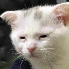 What Was I Made For by Billie Eilish (Cover)