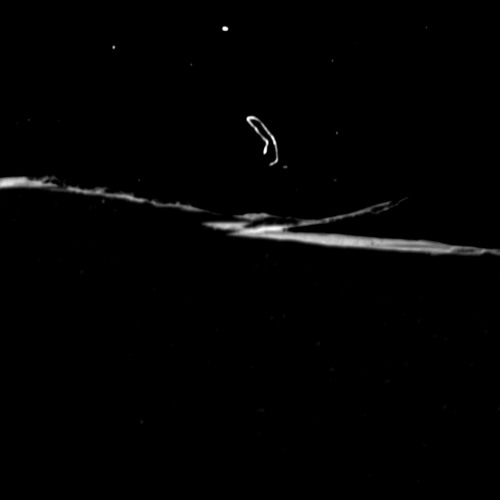 ĐỜI THẬT RAP THẬT - 16 Typh (TONIT RMX)