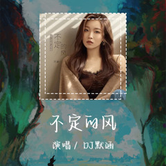 DJ默涵 - 不定的风 「我试过你的刀尖跳过你的深渊」【動態歌詞/pīn yīn gē cí】 #DJ默涵 #不定的风 #動態歌詞 #LyricsVideo