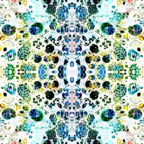 a mirror in the stream
