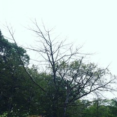 Sadness - Rain Full Album